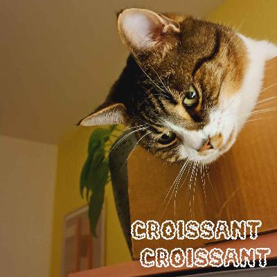 Die Entscheidung Die Entscheidung