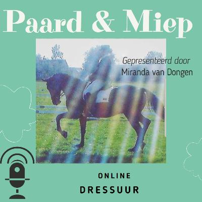 Online Dressuur beoordelen