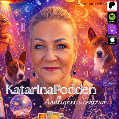 243 Så här kan man rena sina Tarotkort