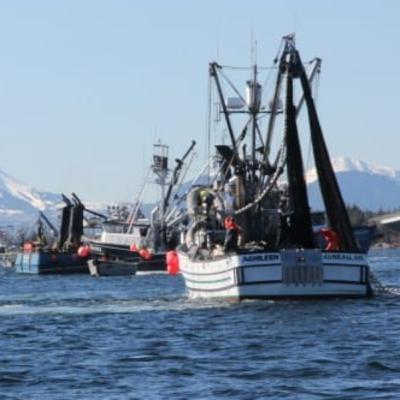 Alaska Fisheries Report 15 January 2026