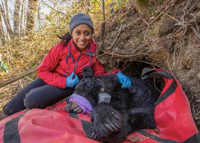 The Wild Life of Dr. Rae Wynn-Grant The Wild Life of Dr. Rae Wynn-Grant