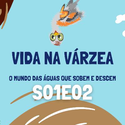 Vida na Várzea S01E02 - Entrevista com Jefferson da Cruz Parte 2