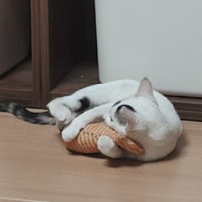 No.038-我那从不内耗的朋友:情绪是我们的武器,不要生闷气 No.038-我那从不内耗的朋友:情绪是我们的武器,不要生闷气