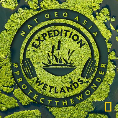 Expedition: Wetlands