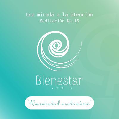 Meditación Guiada Episodio 15 - Una mirada a la atención