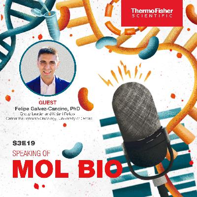 Unlocking phagocytosis―a look at advanced cancer immunology