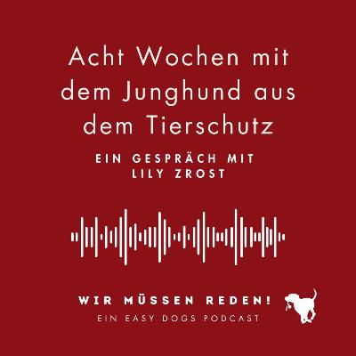 ACHT WOCHEN MIT DEM JUNGHUND AUS DEM TIERSCHUTZ mit Lily Zrost