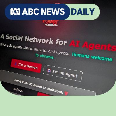What are AI agents and can they be trusted?