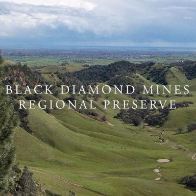 Black Diamond Mines Regional Preserve: Introduction