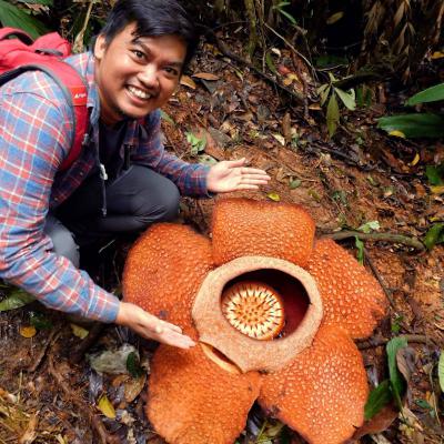Sumatra, Part 10: Solutions and optimism that drive conservation