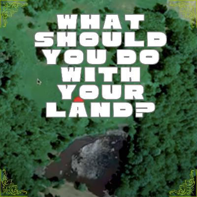 What to do with a blank slate?! An online homestead audit What to do with a blank slate?! An online homestead audit