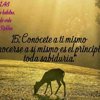 15: Conócete a ti mismo “ 15: Conócete a ti mismo “