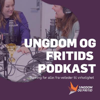 #2 Gaming for alle: fra veileder til virkelighet