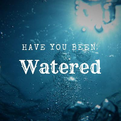 Have You Been Watered