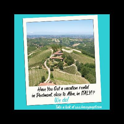 Have You Got plans to hunt truffles in Italy? Should you visit Alba? Where can I learn about truffles? Have You Got plans to hunt truffles in Italy? Should you visit Alba? Where can I learn about truffles?