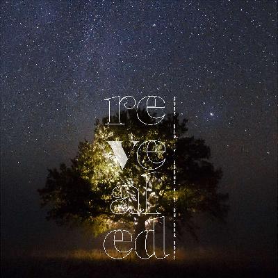 The Scroll | The 1st Seal (The Antichrist - Part 2)