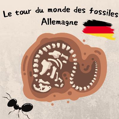 Le tour du monde des fossiles – Allemagne Le tour du monde des fossiles – Allemagne