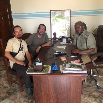 La EBD y los loros grises La EBD y los loros grises