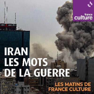 Iran : les mots de la guerre : Drones : entre asymétrie et innovation militaire Iran : les mots de la guerre : Drones : entre asymétrie et innovation militaire