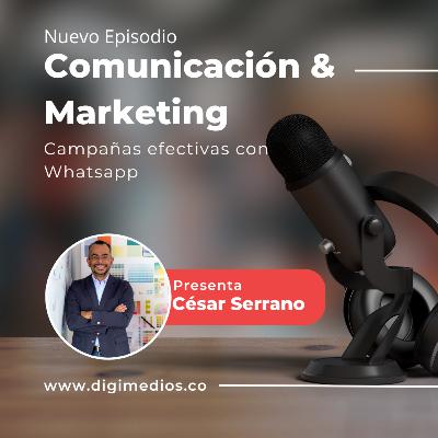 Cómo hacer campañas efectivas con Whatsapp