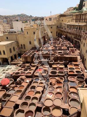 تِلْكَ هيَ  فاس ..