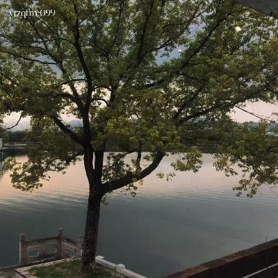 099 我要随心所欲过一生 099 我要随心所欲过一生