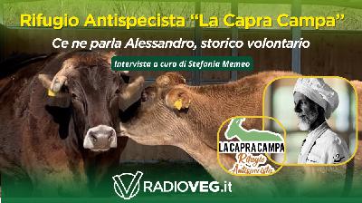 Alessandro: da ospite a volontario de “La Capra Campa”
