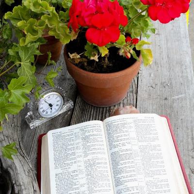 God’s Condition for Receiving Good Things God’s Condition for Receiving Good Things