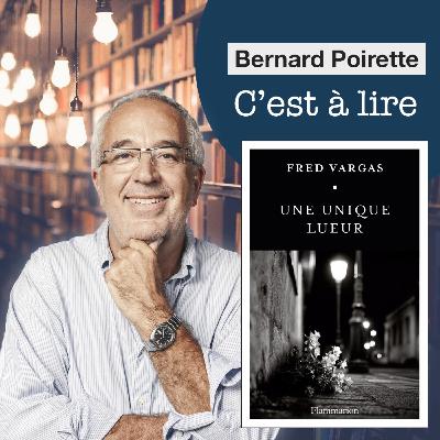 254. "Une unique lueur" de Fred Vargas