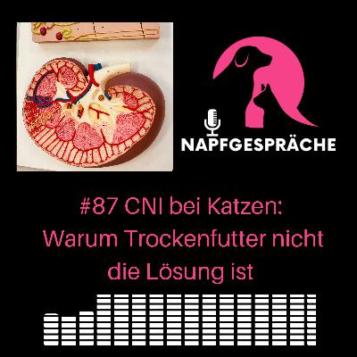 #87 CNI bei Katzen: Warum Trockenfutter nicht die Lösung ist