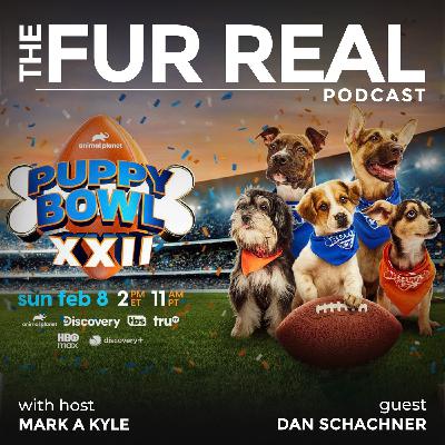 "THE PUPPY BOWL: MORE THAN A GAME" with Rufferee Dan Schachner