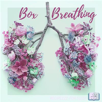 Special Episode: Breathwork - Box Breathing Special Episode: Breathwork - Box Breathing