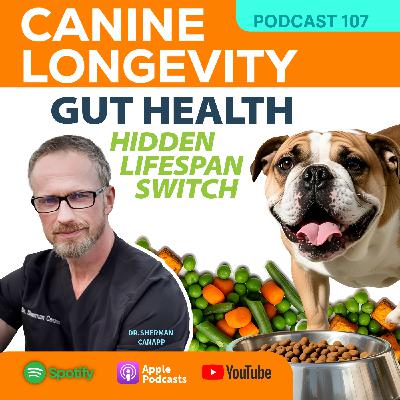 Gut Health-Hidden Lifespan Switch Gut Health-Hidden Lifespan Switch