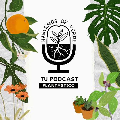 El de las plantas silvestres (con @ainaserice) | 2x21 | Hablemos de verde