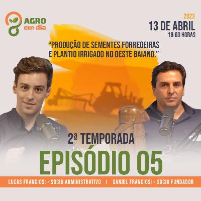 Produção de sementes de forregeiras e plantio irrigado no oeste baiano