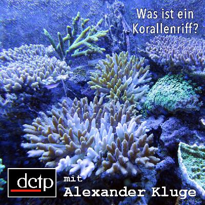 Was ist ein Korallenriff?