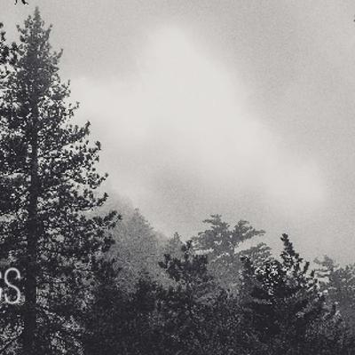 The Wild's Call
