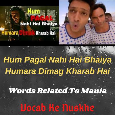 Hum pagal nahin hai Bhaiya Hum pagal nahin hai Bhaiya