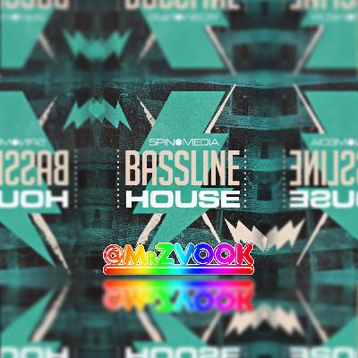 Mr.ZvooK - Playback (5P Bassline House Taster)