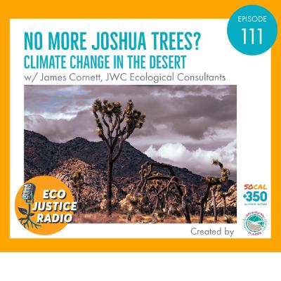 No More Joshua Trees? Climate Change in the Desert