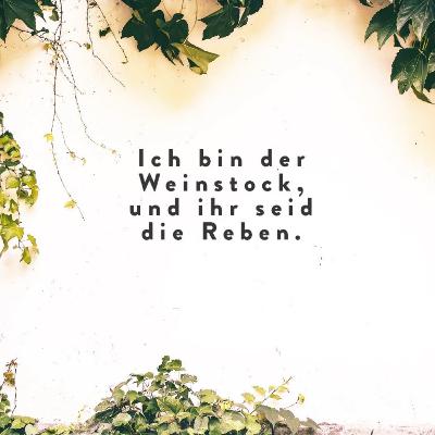 WAHRE WEINSTOCK