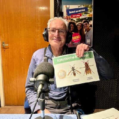 De Aziatische Hoornaar! De Aziatische Hoornaar!