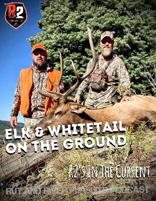 Elk & Whitetail On The Ground - R2's In The Current