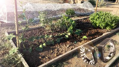 Gardening helps invite inspiration to my jewelry designs