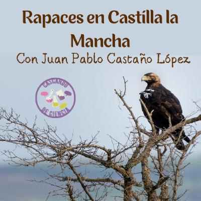 16. Rapaces en Castilla la Mancha. Con Juan Pablo Castaño López