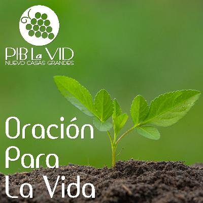 Oración Para La Vida