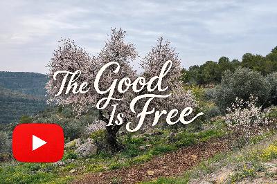 The Good Is Free The Good Is Free