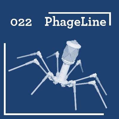 PhageLine #22: Phage-Antibiotic Synergy