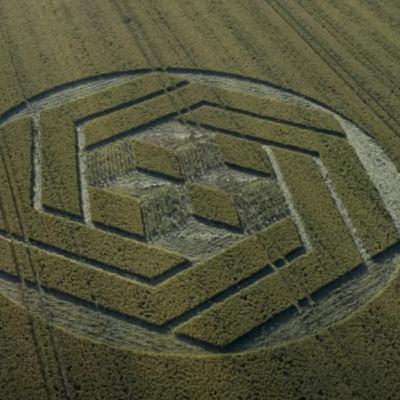 Enzo meets Guy Shepherd, crop circle videographer, and they decipher the 2020 season.