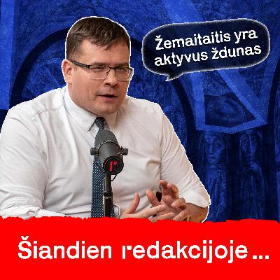 Gynybos planai, penktoji kolona Seime ir opozicija Žemaitaičiui | Laurynas Kasčiūnas